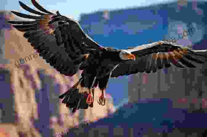 A Family Taking A Photograph Of A Majestic Andean Condor Soaring Against A Backdrop Of Snow Capped Mountains. Soviet Phantoms Vacation In Chile: A Family Travelogue