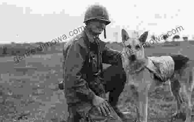 A Group Of Soldiers Posing With Their Dogs During World War II Liberty (Dogs Of World War II)