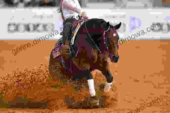 A Horse And Rider Performing Reining Maneuvers USDF Lungeing Manual