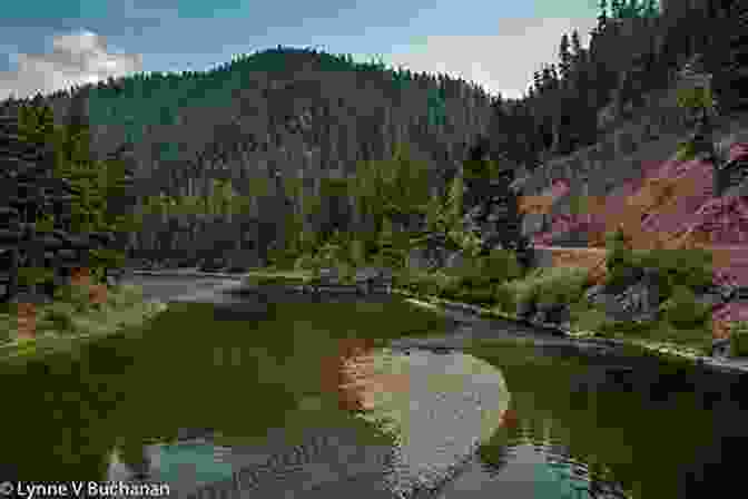 A Panoramic View Of The Blackfoot River, Showcasing Its Pristine Waters, Lush Greenery, And Distant Mountains. Fly Fishing The Blackfoot River: An Excerpt From Fly Fishing Montana