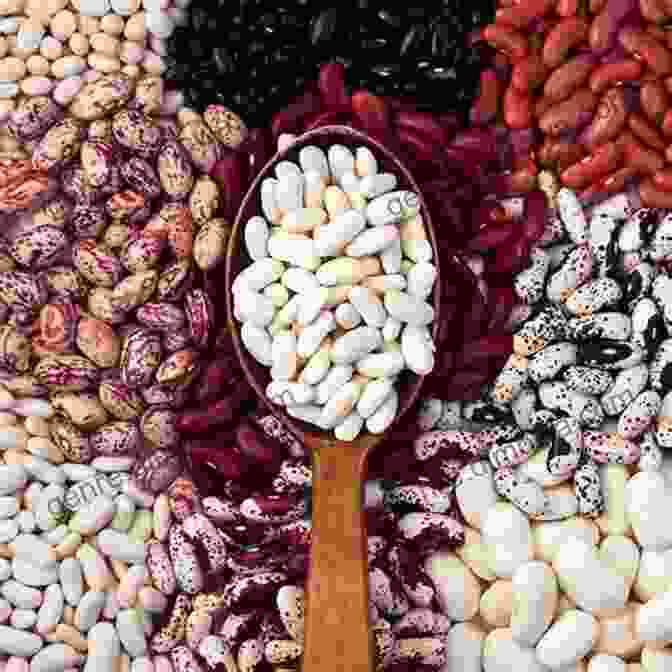 A Vibrant Display Of Various Beans In Different Colors And Shapes Surprising Beans (Read It Readers: Science)