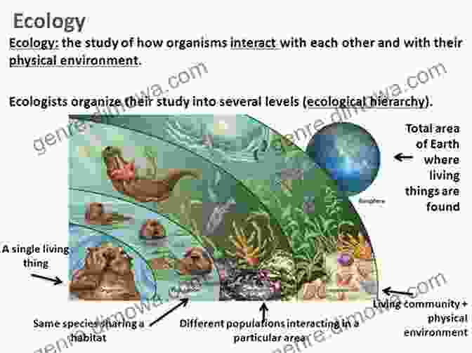 Agent Based Model Of An Ecosystem, Showing The Interactions Between Different Species And Their Impact On The Environment Agent Based Modeling And Network Dynamics