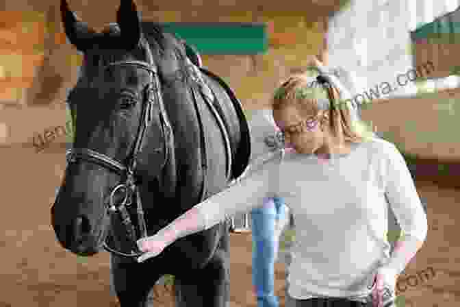 Groundwork Training With A Horse And Rider USDF Lungeing Manual