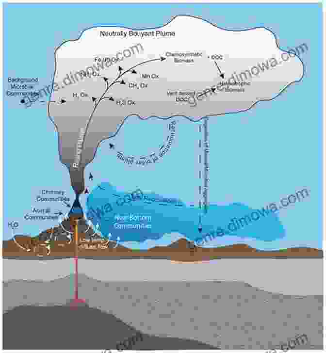 Hydrothermal Vent Emitting Plumes Of Hot Water Silent Seas The Fish Race To The Bottom