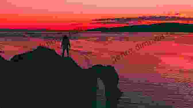 John Doe On The Edge Of A Cliff, Looking Out Into The Sunset On The Edge: My Story