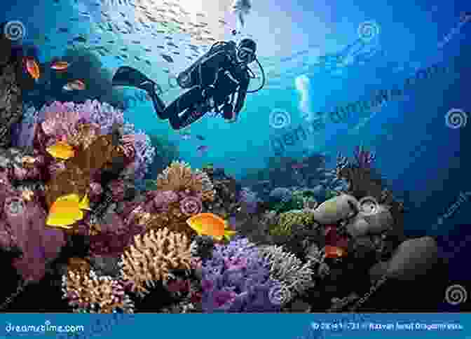 Scuba Diver Exploring A Vibrant Coral Reef Teeming With Marine Life Even A Tiny Monkey Can Memorize English Words For Scuba Diving: English Words For Scuba Diving (Japanese Edition)