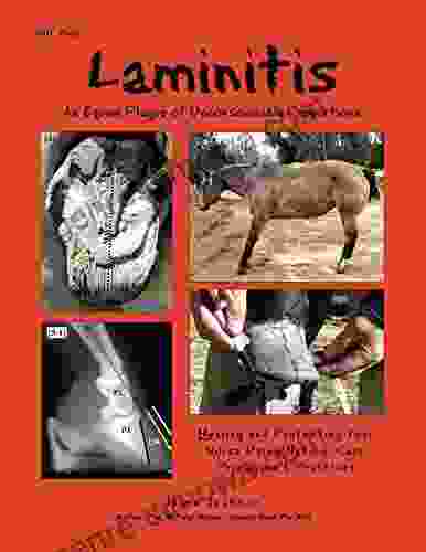 Laminitis: An Equine Plague Of Unconscionable Proportions: Healing And Protecting Your Horse Using Natural Principles Practices