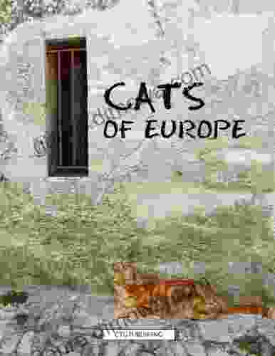 Cats Of Europe Masakazu Ishikawa