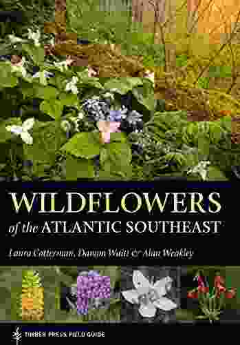 Wildflowers Of The Atlantic Southeast (A Timber Press Field Guide)