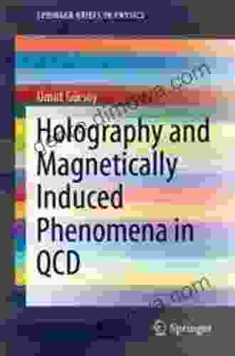 Holography And Magnetically Induced Phenomena In QCD (SpringerBriefs In Physics)