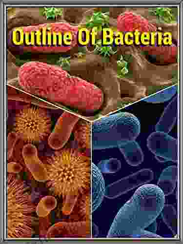 Outline of Bacteria: Bacteria (School and College students)