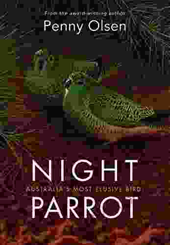 Night Parrot: Australia S Most Elusive Bird