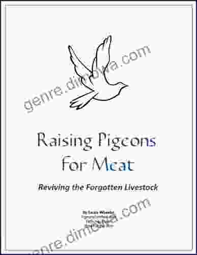 Raising Pigeons For Meat: Reviving The Forgotten Livestock