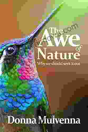 THE AWE OF NATURE: Why We Should Seek It Out