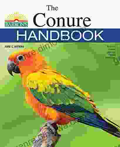 The Conure Handbook (B E S Pet Handbooks)