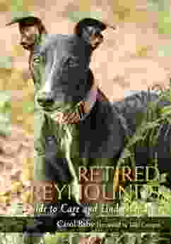 Retired Greyhounds: A Guide to Care and Understanding