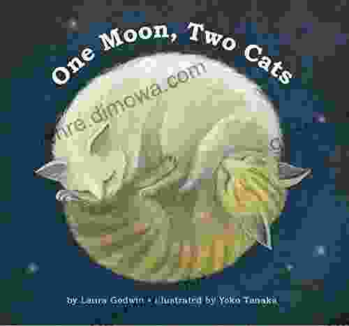 One Moon Two Cats Laura Godwin