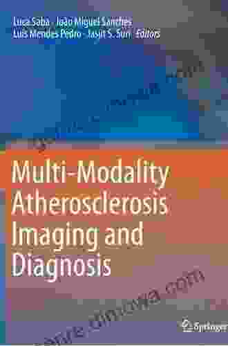 Multi Modality Atherosclerosis Imaging And Diagnosis